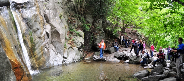 Actividades de team building para empresas